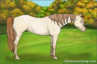 Horse Color:Buckskin Roan Pearl Dun  and Bay Roan Pearl Dun 