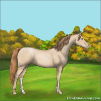 Horse Color:Smoky Black Pearl 