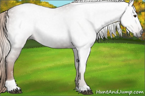 Horse Color:Gray Chestnut Tobiano 