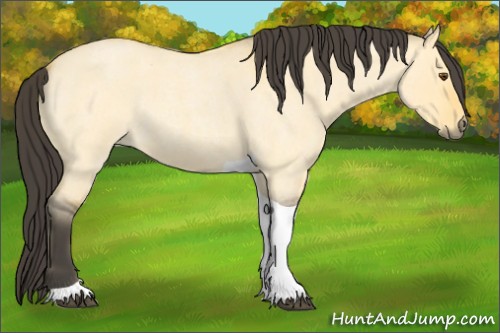 Horse Color:Buckskin Roan Dun Tobiano