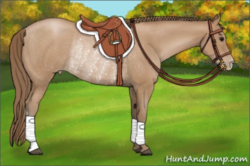 Horse Color:Black Pearl Rabicano 