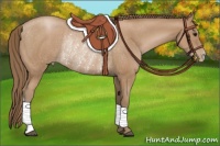 Horse Color:Black Pearl Rabicano 