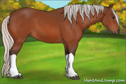 Horse Color:Silver Bay