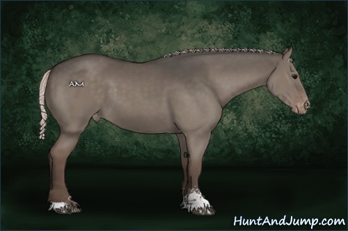 Horse Color:Silver Grullo Sabino Varnish