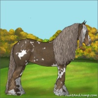 Horse Color:White Spotted Chocolate Palomino Sabino 