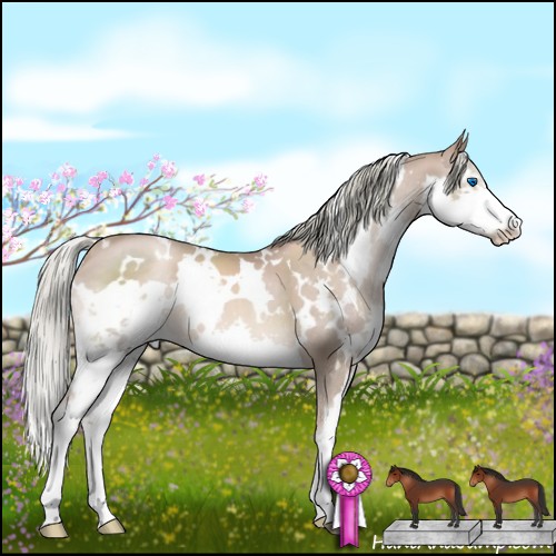 Horse Color:White Spotted Liver Chestnut Pearl Sabino Splash