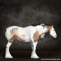 Horse Color:Bay Roan Onyx Splash Tobiano