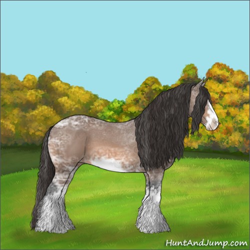 Horse Color:Bay Ice Sabino Varnish