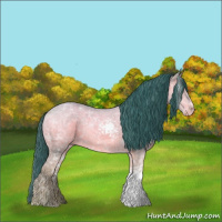 Horse Color:Watercolor White Spotted Bay Ice