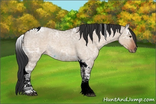 Horse Color:Brown Ice Roan Dun Tobiano