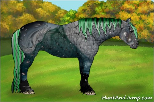 Horse Color:ERROR: UNKNOWN ANOMALY