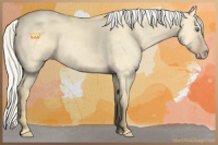 Horse Color:Silver Amber Cream Champagne Dun 