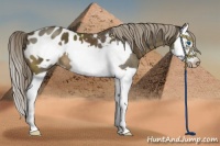 Horse Color:Chocolate Palomino Splash Frame Blanket 