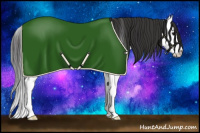 Horse Color:Bay Splash Appaloosa 