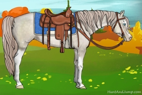 Horse Color:White Spotted Chocolate Palomino Pearl Dun 