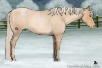 Horse Color:Chocolate Palomino Roan Pearl 