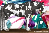 Horse Color:White Spotted Liver Chestnut Splash 