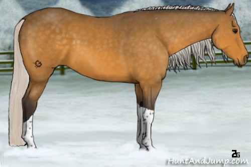 Horse Color:Silver Buckskin Tobiano