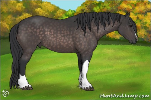 Horse Color:Platinum Brown 