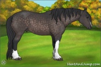 Horse Color:Platinum Brown 