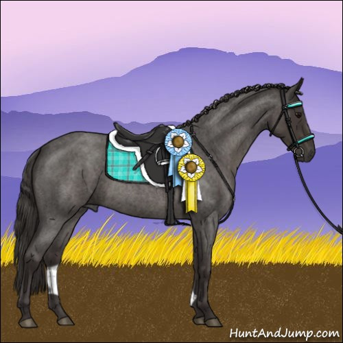 Horse Color:Smoky Blue Roan 
