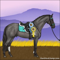 Horse Color:Smoky Blue Roan 