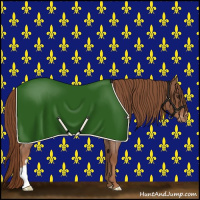 Horse Color:Red Roan Appaloosa 