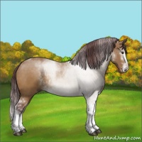 Horse Color:Chocolate Buckskin Dun Sabino 