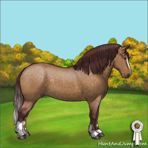 Horse Color:Chocolate Buckskin Dun Sabino 