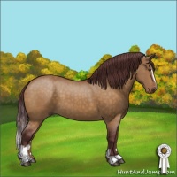 Horse Color:Chocolate Buckskin Dun Sabino