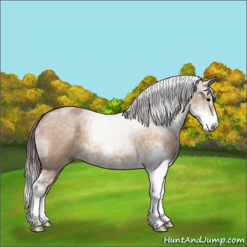 Horse Color:Chocolate Brown Dun Sabino 
