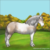 Horse Color:Chocolate Brown Dun Sabino 
