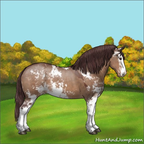 Horse Color:Chocolate Brown Dun Sabino 