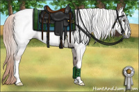 Horse Color:Gray Chestnut Snowcap 
