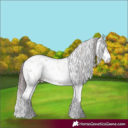 Horse Color:Chocolate Buckskin Dun Sabino Rabicano 