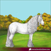 Horse Color:Chocolate Buckskin Dun Sabino Rabicano 