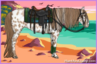 Horse Color:Black Pearl Appaloosa 