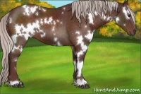 Horse Color:White Spotted Chocolate Silver Brown