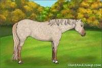 Horse Color:Red Dun Ice 