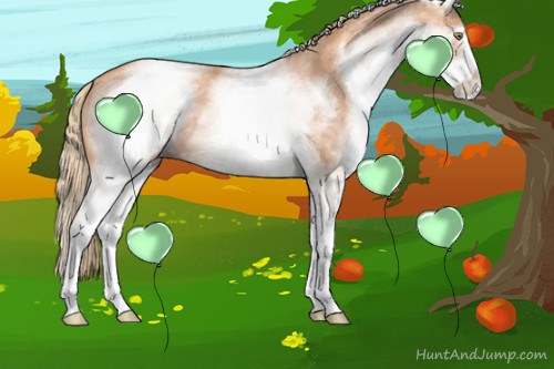 Horse Color:White Spotted Gold Champagne