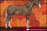 Horse Color:Chocolate Palomino Ice 