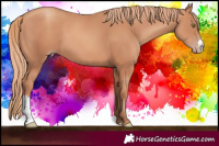 Horse Color:Gold Champagne 