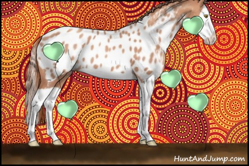 Horse Color:Gold Champagne Splash Appaloosa 
