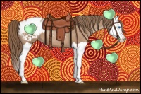 Horse Color:Black Pearl Splash Appaloosa 