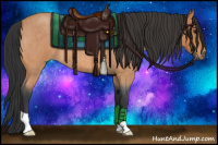 Horse Color:Bay Roan 