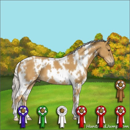 Horse Color:White Spotted Palomino 