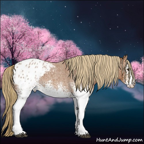 Horse Color:White Spotted Red Roan Blanket 