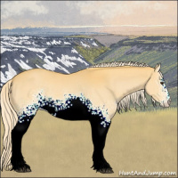 Horse Color:White Spotted Palomino 