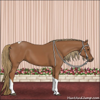 Horse Color:Chestnut Tobiano