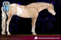 Horse Color:White Spotted Chocolate Palomino Pearl 